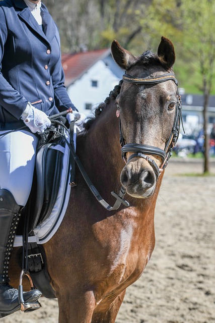 女足明星遭百万富翁跟踪骚扰，雇佣保镖应对