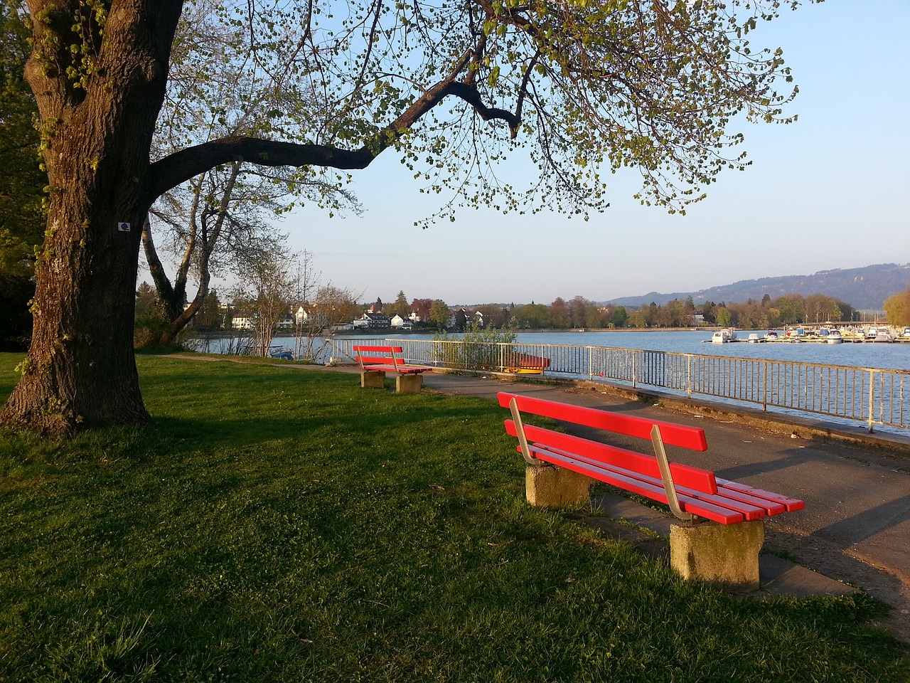 勇士104-96鹈鹕，巴特勒24+8+10，格林9中0，锡安25分