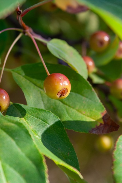 北青：U22国足12月7日重新集中备战，将集训一个月