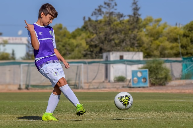 沿途的自然 沿途的自然