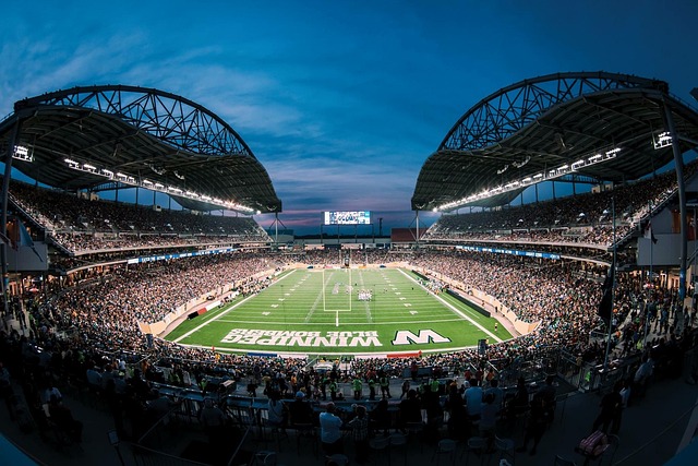 處於極大的 處於極大的