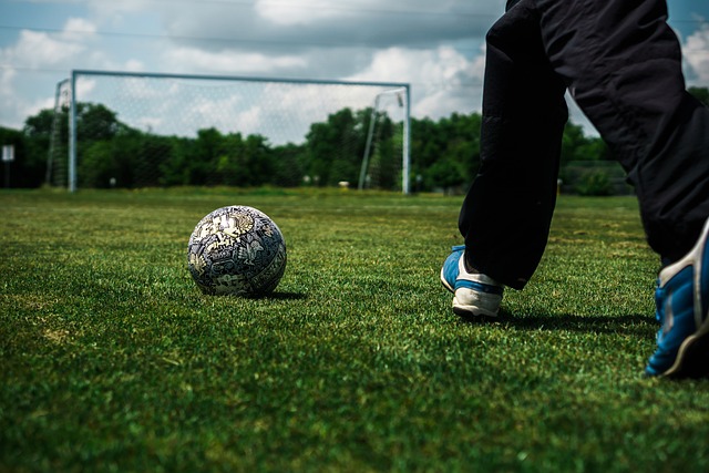 动会的一项 动会的一项