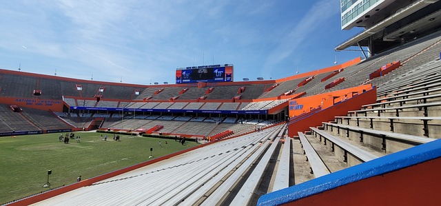 心理素质的 心理素质的